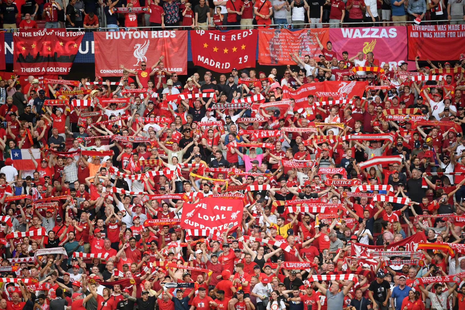 价值极高 价值极高